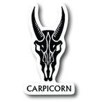 Oğlak 3 Inç Su Geçirmez Çıkartma Sticker Burç Astroloji İşaretler Burç Çakra Ürpertici İskelet Gotik Goth Grunge Cadılar Bayramı Kalesi Kafatası Hayvan Karma Ouija Ürkütücü Tarot Oracle Palm Medyum