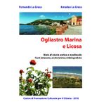 Ogliastro Marina e Licosa: Note di storia antica e medievale. Fonti letterarie, archivistiche e bibliografiche (Storie di Paesi del Cilento)