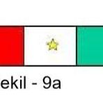 Öğrenim Başarı Şerit Rozeti