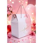 OGTWO Premium Konsept Hediye Kutusu & Çanta Sevgiliye Aşk Lüks Karton Hediye Paketi Özel Kutu - 24x14x20cm