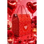 OGTWO Premium Konsept Hediye Kutusu & Çanta Sevgiliye Kalpli Aşk Karton Hediye Paketi Kutu - 24x14x20cm