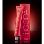 Ohbe Express Igora Saç Boyası 5-65 Açık Kahve Çikolata Altın 60 ml + Mini Oksidan 20 Volüm