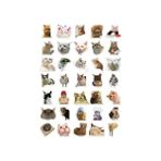 Ohbe Express "kedi Seti" 35 Adet - Bullet Journal - Ajanda - - Defter - Laptop-Tablet Için - Option-1 - -50 C