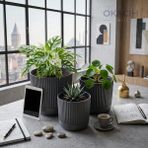 Okacih 3’lü Dekoratif Çizgili Saksı Seti 14-16-18 cm Modern Ribbed Iç Mekan Saksı