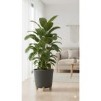 Okacih Büyük Modern Stick Line Saksı Akıllı Altlıklı 30X30 cm 25 Litre