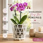 Okacih Dekoratif Kalpli Orkide Saksısı Şeffaf Iç Hazneli Modern Tasarım Çiçek Saksısı