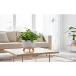 Okacih Modern Stick Line Bambu Ayaklı Saksı Akıllı Altlıklı 19X16 cm 3 Litre