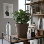 Okacih Modern Tabaklı Saksı 20 cm 5 Litre Dekoratif Saksı