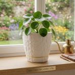 Okacih Taş Desenli Küçük Saksı 12 cm 0,75 Lt Dekoratif Saksı