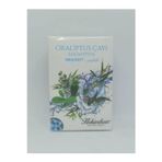Okaliptus Küp Çay 170 Gr
