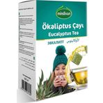 Okaliptus Küp Şeklinde Kış Çayı