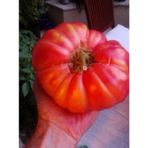 Okka Domates Tohumu Yerini Severse 700-800 Gr. Olabilir.: 10 Ad