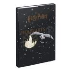 Okul çantası için defter kutusu A4 – Lastik bantlı ve iç kapaklı çocuklar için koleksiyon dosyası – Defter kutusu, gençler için lastikli koleksiyon kutusu (Harry Potter Hogwarts arması)