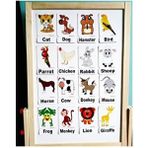 Okuling Manyetik İngilizce Kelime Kartları Flashcards - Hayvanlar - Animals Normal Boy Eğitim Seti