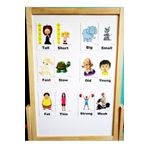 Okuling Manyetik Ingilizce Kelime Kartları Flashcards - Zıt Kavramlar / Opposites