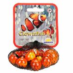 Okyanus Renkli Misket - Clownfish