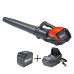 Oleomac 2.5 Ah+Şarj Cihazı Bvi 60 Akülü Yaprak Üfleme Makinesi