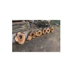oliveforestwood Zeytin Ağacı Ham Sehpa Tablası