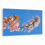 Olla 10552Y Ağaç Görseli Yatay Kanvas Tablo, Ölçü 100X70