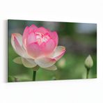 Olla 10779Y Ağaç Görseli Yatay Kanvas Tablo, Ölçü 90X60