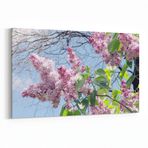 Olla 10853Y Ağaç Görseli Yatay 30x20 cm Kanvas Tablo