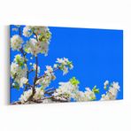 Olla 10878Y Ağaç Görseli Yatay Kanvas Tablo, Ölçü 40X30