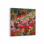 Olla 11575K Çiçek Görseli Kare Kanvas Tablo, Ölçü 140X140
