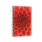 Olla 11647D Çiçek Görseli Dikey Kanvas Tablo, Ölçü 50X75