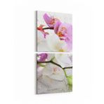 Olla 11670K2D Orkide Çiçek Görseli Kare 2'li Dikey Kanvas Tablo, Ölçü 70X145