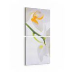 Olla 11707K2D Orkide Çiçek Görseli Kare 2'li Dikey Kanvas Tablo, Ölçü 50X105