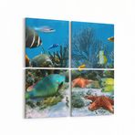 Olla 12056K4 Akvaryum Balık Görseli Kare 4 Parça 65x65 cm Kanvas Tablo