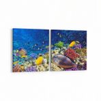 Olla 12065K2Y Akvaryum Balık Görseli Kare 2 Parça Yatay 65x30 cm Kanvas Tablo
