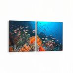 Olla 12079K2Y Akvaryum Balık Görseli Kare 2 Parça Yatay 65x30 cm Kanvas Tablo