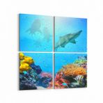 Olla 12089K4 Akvaryum Balık Görseli Kare 4 Parça 65x65 cm Kanvas Tablo
