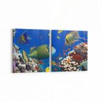 Olla 12103K2Y Akvaryum Balık Görseli Kare 2 Parça Yatay 65x30 cm Kanvas Tablo