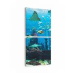 Olla 12108K2D Akvaryum Balık Görseli Kare 2 Parça Dikey 30x65 cm Kanvas Tablo