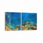 Olla 12115K2Y Akvaryum Balık Görseli Kare 2 Parça Yatay 65x30 cm Kanvas Tablo