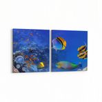 Olla 12144K2Y Akvaryum Balık Görseli Kare 2 Parça Yatay 65x30 cm Kanvas Tablo