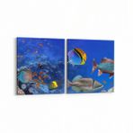 Olla 12147K2Y Akvaryum Balık Görseli Kare 2 Parça Yatay 65x30 cm Kanvas Tablo