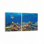Olla 12159K2Y Akvaryum Balık Görseli Kare 2 Parça Yatay 65x30 cm Kanvas Tablo