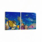 Olla 12166K2Y Akvaryum Balık Görseli Kare 2 Parça Yatay 65x30 cm Kanvas Tablo