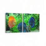 Olla 12179K2Y Akvaryum Balık Görseli Kare 2 Parça Yatay 65x30 cm Kanvas Tablo