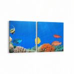 Olla 12202K2Y Akvaryum Balık Görseli Kare 2 Parça Yatay 65x30 cm Kanvas Tablo