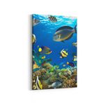 Olla 12207D Akvaryum/Balık Görseli Dikey Kanvas Tablo, Ölçü 100X150