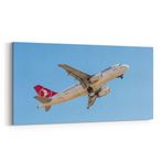 Olla 12333YD Araç Görseli Yatay Dar Kanvas Tablo, Ölçü 120X60