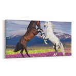 Olla 12608YD Hayvanlar Alemi Görseli Yatay Dar Kanvas Tablo, Ölçü 160X80