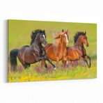 Olla 12640Y Hayvanlar Alemi Görseli Yatay Kanvas Tablo, Ölçü 40X30