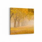 Olla 13307K Doğa / Manzara Görseli Kare Kanvas Tablo, Ölçü 130X130