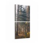 Olla 13560K2D Doğa/Manzara Görseli Kare 2'li Dikey Kanvas Tablo, Ölçü 30X65