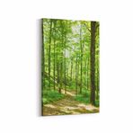 Olla 13850D Doğa Manzara Görseli Dikey 20x30 cm Kanvas Tablo